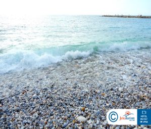 Poze Estival Torrequebrada 15