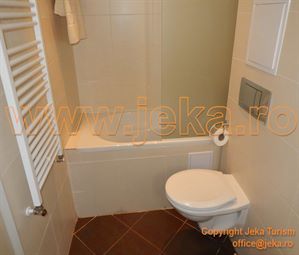 Poze FESTA CHAMKORIA 11