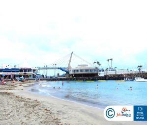 Poze Flamingo Beach Mate 14