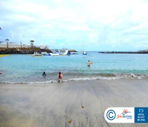 Poze Flamingo Beach Mate 16