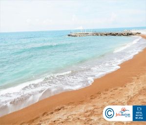 Poze Gold Island Mondo 13