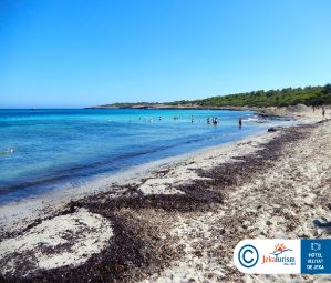 Poze Hipotels Hipocampo Playa 13