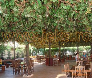 Poze IZOLA PARADISE 11