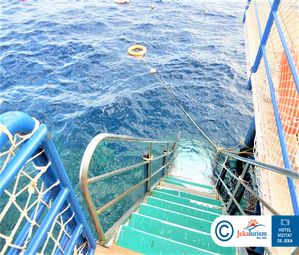 Poze JAZ GRAND MARSA 22