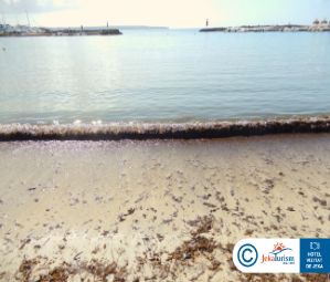 Poze Js Palma Stay 10