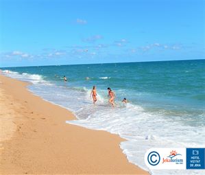 Poze KAKTUS PLAYA 14