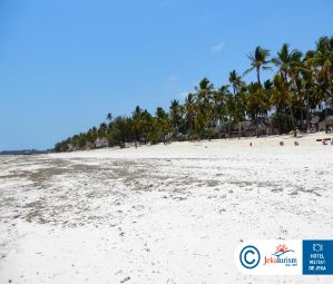 Poze Karafuu Beach Resort 20