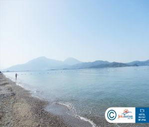 Poze LIBERTY FABAY 20