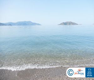 Poze LIBERTY FABAY 21