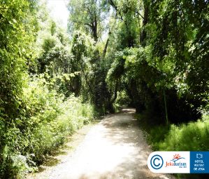 Poze LYKIA BOTANIKA BEACH FUN   CLUB 13