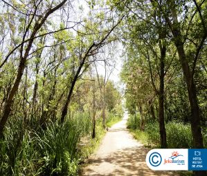 Poze LYKIA BOTANIKA BEACH FUN   CLUB 14