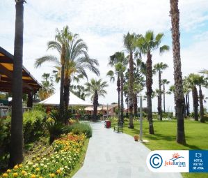 Poze Leodikya Kirman Premium 18