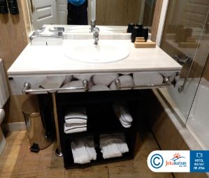 Poze Melia Marbella Banus 14