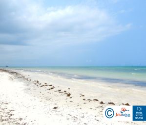 Poze Melia Zanzibar 12