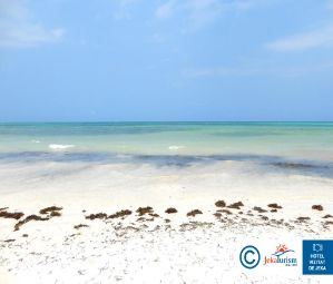 Poze Melia Zanzibar 13