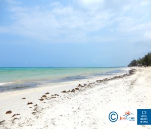 Poze Melia Zanzibar 14