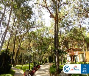 Poze Mirada Del Mar 14