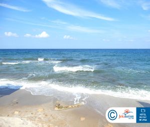 Poze Mitsis Selection Laguna 20