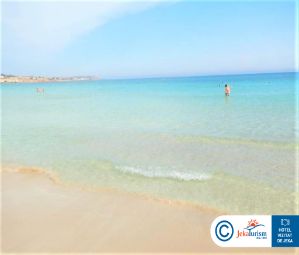 Poze Nicholas Color 16