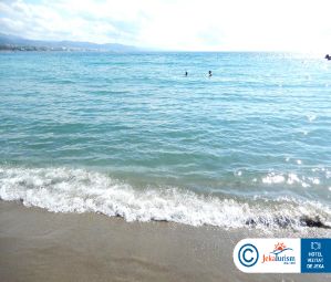 Poze Occidental Puerto Banus 13