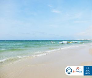 Poze One Resort Jockey 22