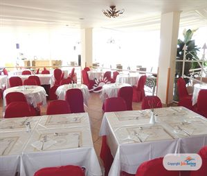 Poze PALEO ARTNOUVEAU 13