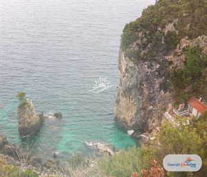 Poze PALEO ARTNOUVEAU 17