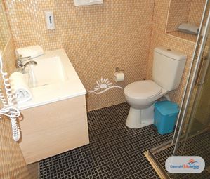 Poze PALEO ARTNOUVEAU 7