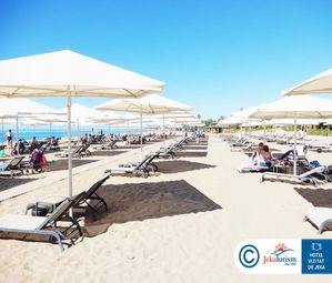 Poze PALOMA FINESSE 19