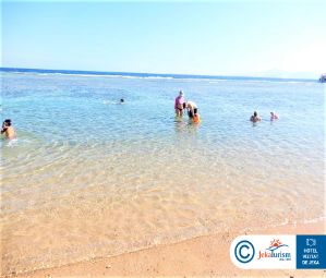 Poze PARROTEL BEACH 14