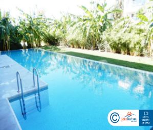 Poze Paloma Finesse 12