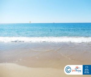 Poze Paloma Orenda 18