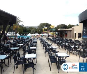 Poze Papillon Ayscha 12