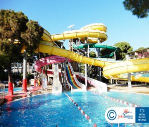 Poze Papillon Ayscha 14