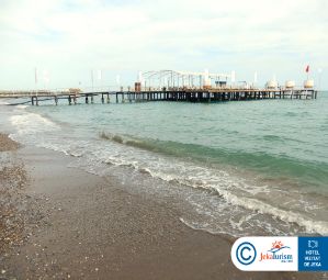 Poze Papillon Ayscha 17