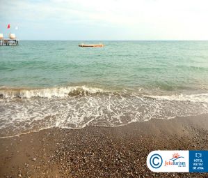 Poze Papillon Ayscha 18