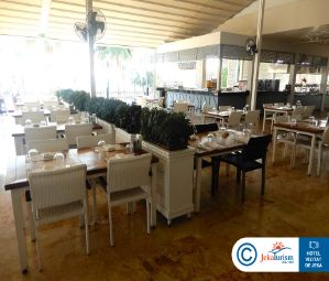 Poze Papillon Belvil 12