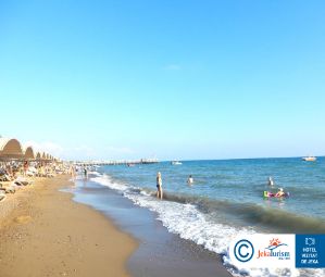 Poze Papillon Belvil 18