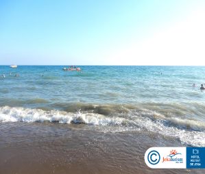 Poze Papillon Belvil 19