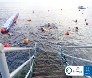 Poze Pickalbatros Palace Sharm 17