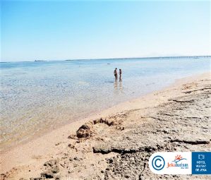 Poze Pickalbatros Royal Moderna Sharm 13