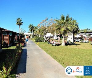 Poze Pine Beach 12