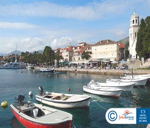 Poze REMISENS FAMILY ALBATROS 12