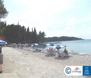 Poze REMISENS FAMILY ALBATROS 14