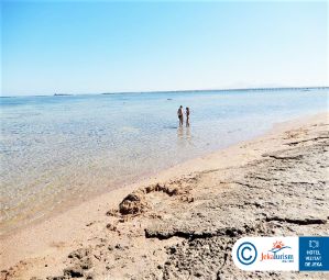 Poze ROYAL ALBATROS MODERNA 13