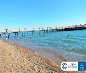 Poze ROYAL SEGINUS 19