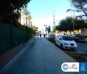 Poze Riu Concordia 10