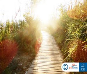 Poze SIDE STAR RESORT 16