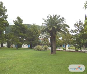 Poze SLOVENSKA PLAZA 12