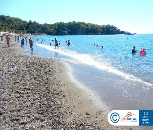 Poze Sealife Buket 15